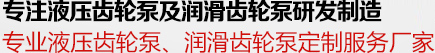 專（zhuān）注液壓齒輪及潤滑齒輪泵（bèng）研發製造25年